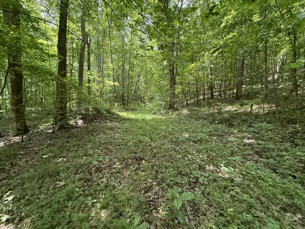 Linden, TN 37096,107 Possum trot Ln