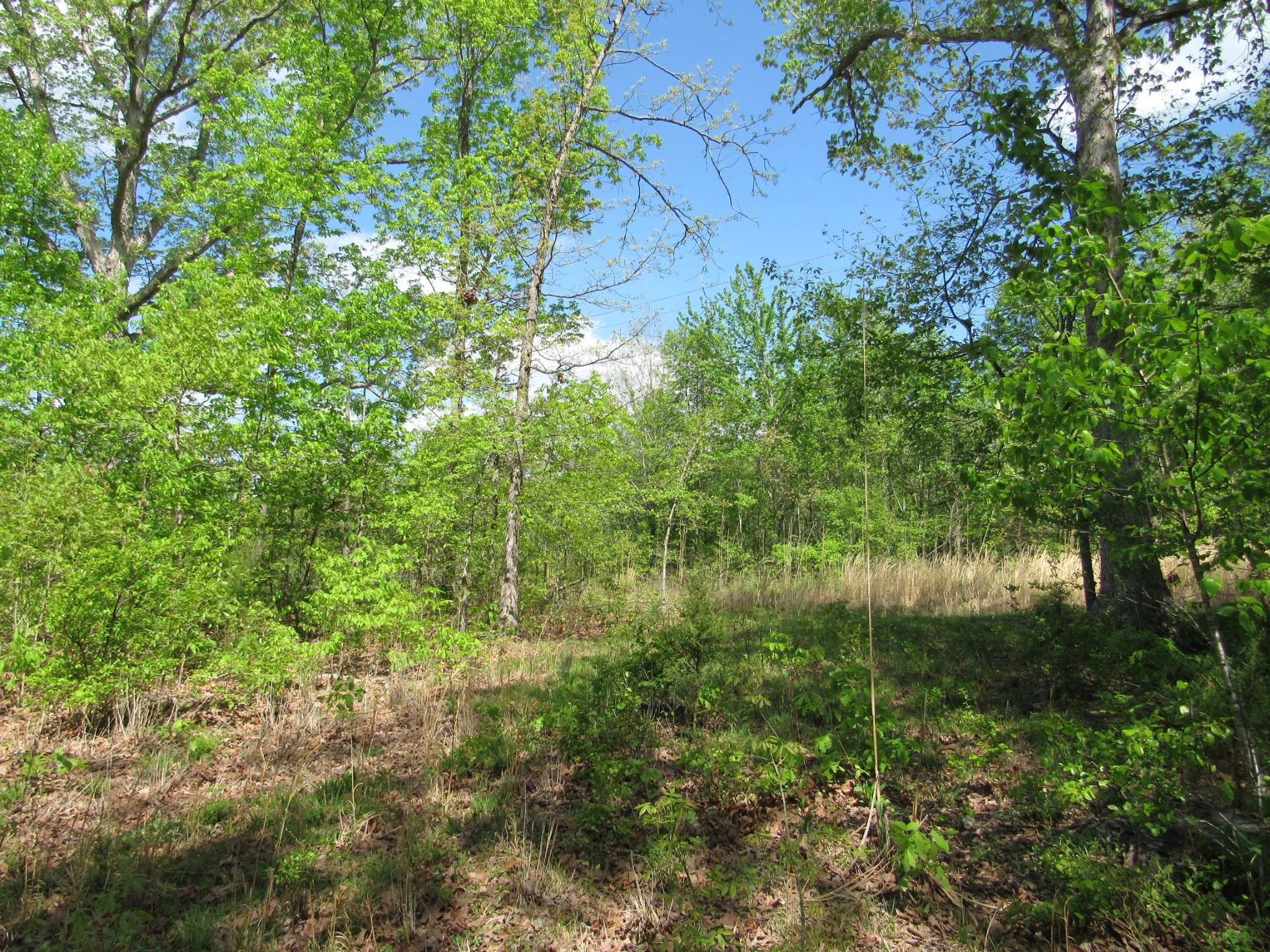 Big Sandy, TN 38221,1 Henley Gardens Lane