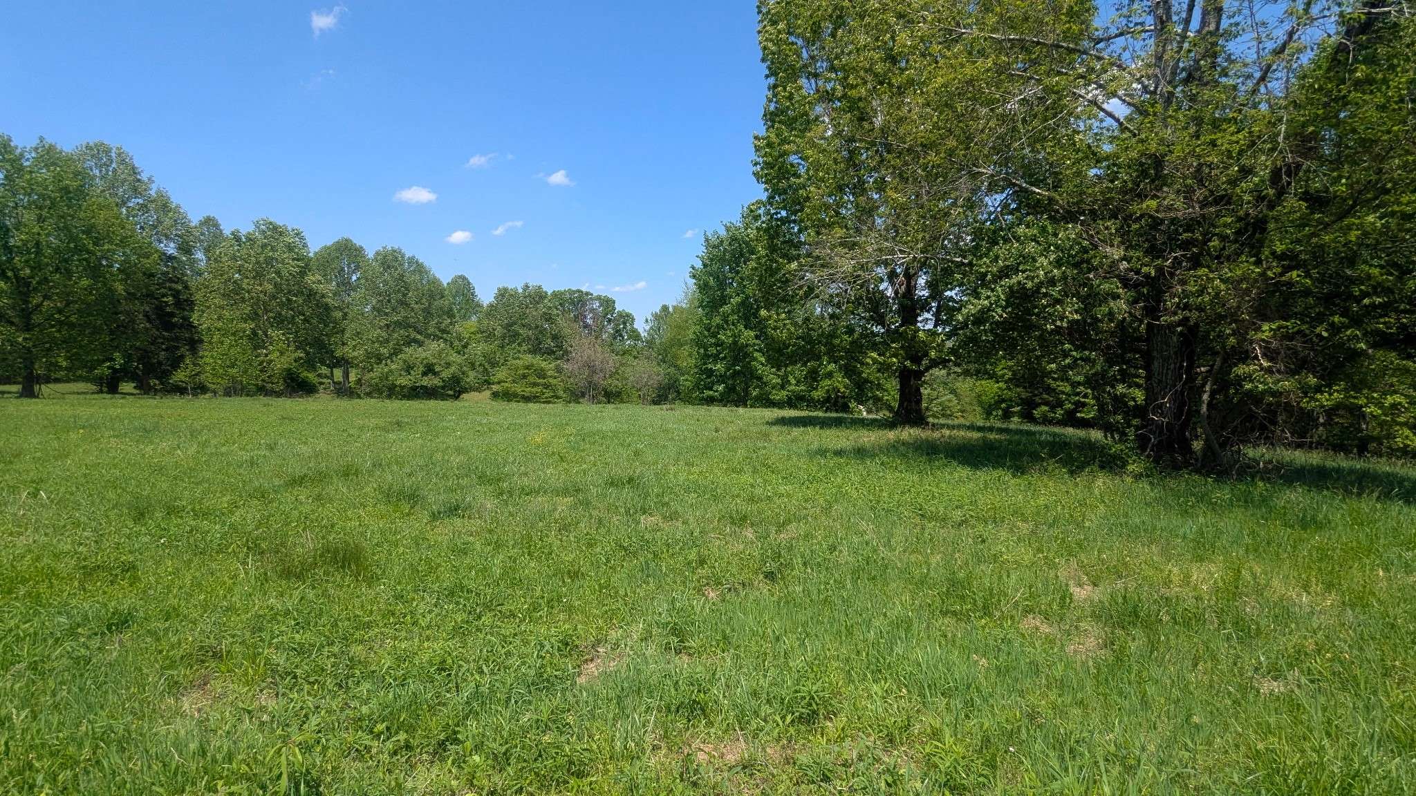 Portland, TN 37148,337 Old Dobbins Pike #3