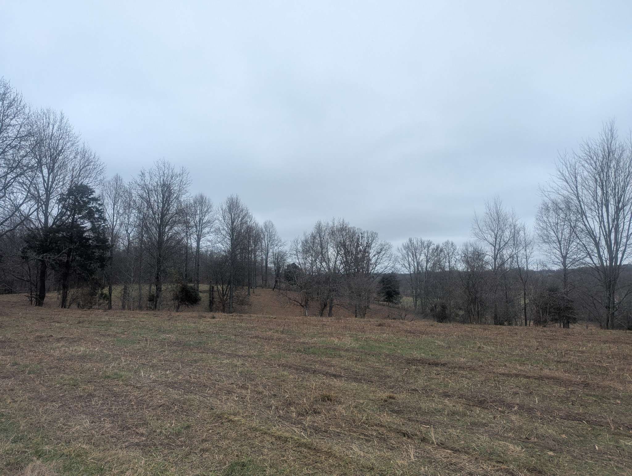 337 Old Dobbins Pike #3, Portland, TN 37148