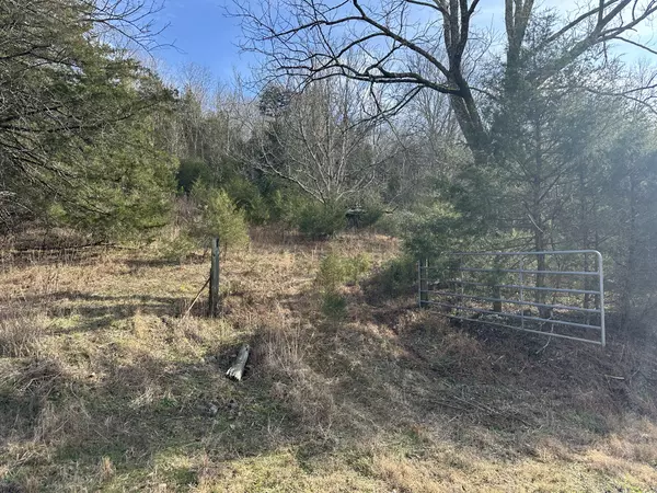 Granville, TN 38564,1 Huff Hollow Road