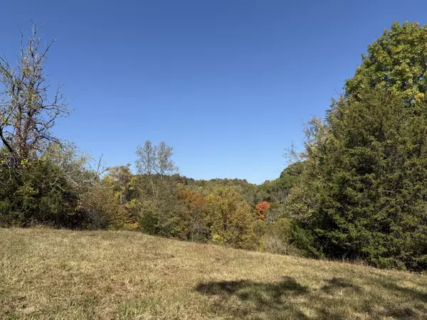 Frankewing, TN 38459,0 Robinson Rd