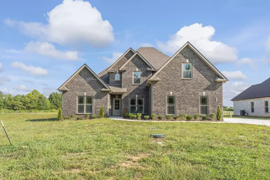 0 Bruce Meadows Drive, Beechgrove, TN 37018