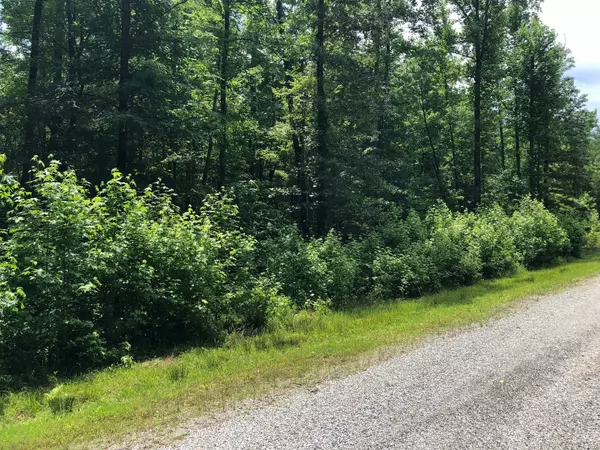 Cedar Grove, TN 38321,240 War Eagle Dr