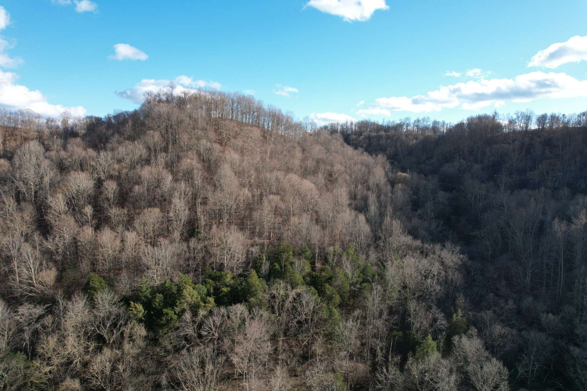 Elmwood, TN 38560,0 Club Springs Road