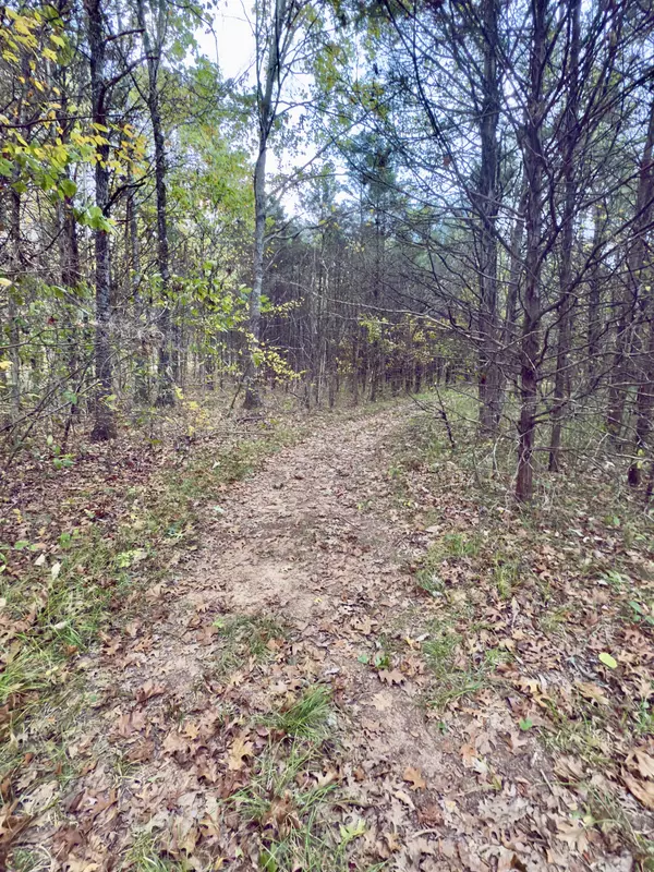 Lascassas, TN 37085,1 Remington Dr