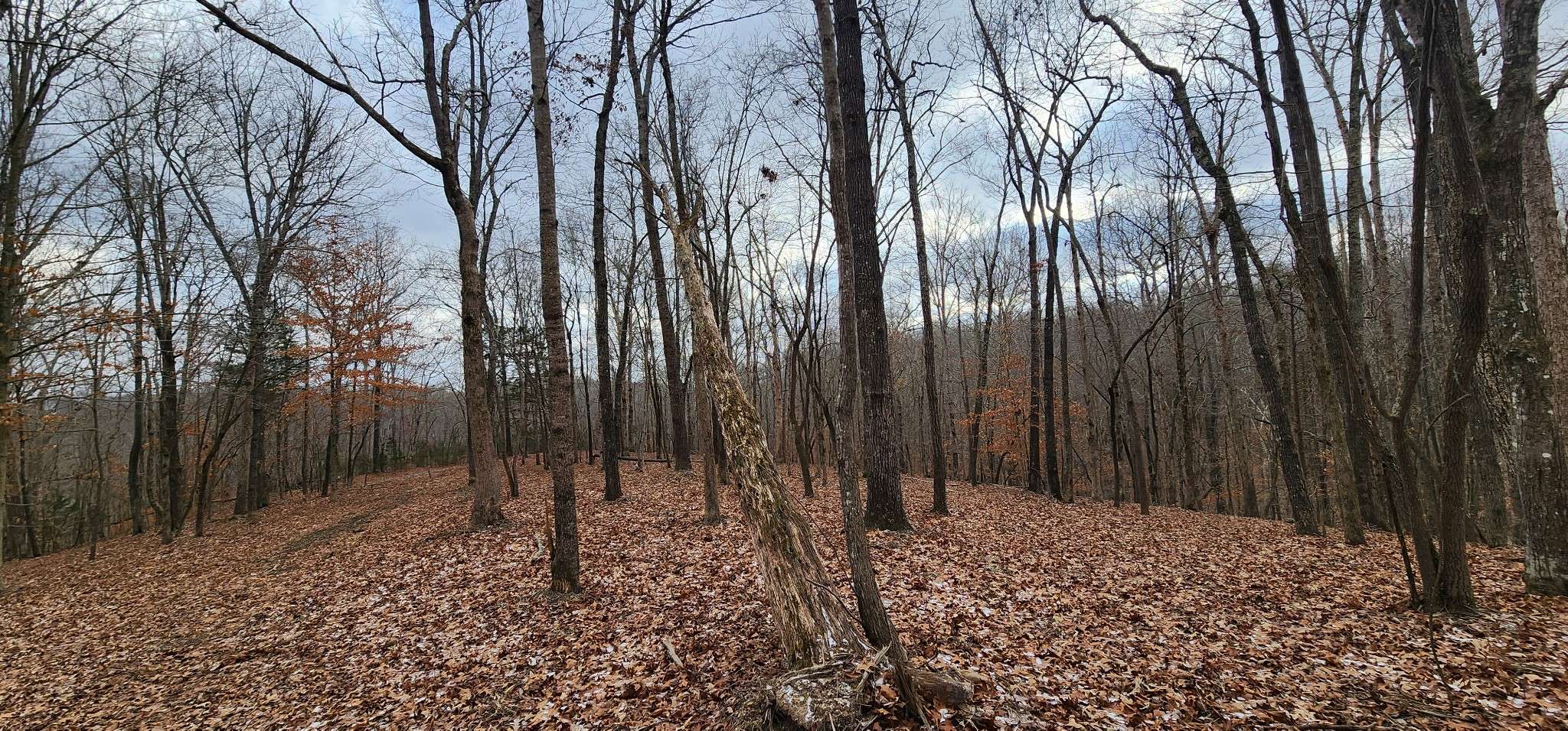 Sparta, TN 38583,0 Macgregor Pl