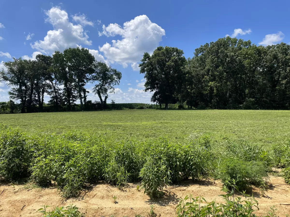 Summertown, TN 38483,0 Hidden Hills Lane