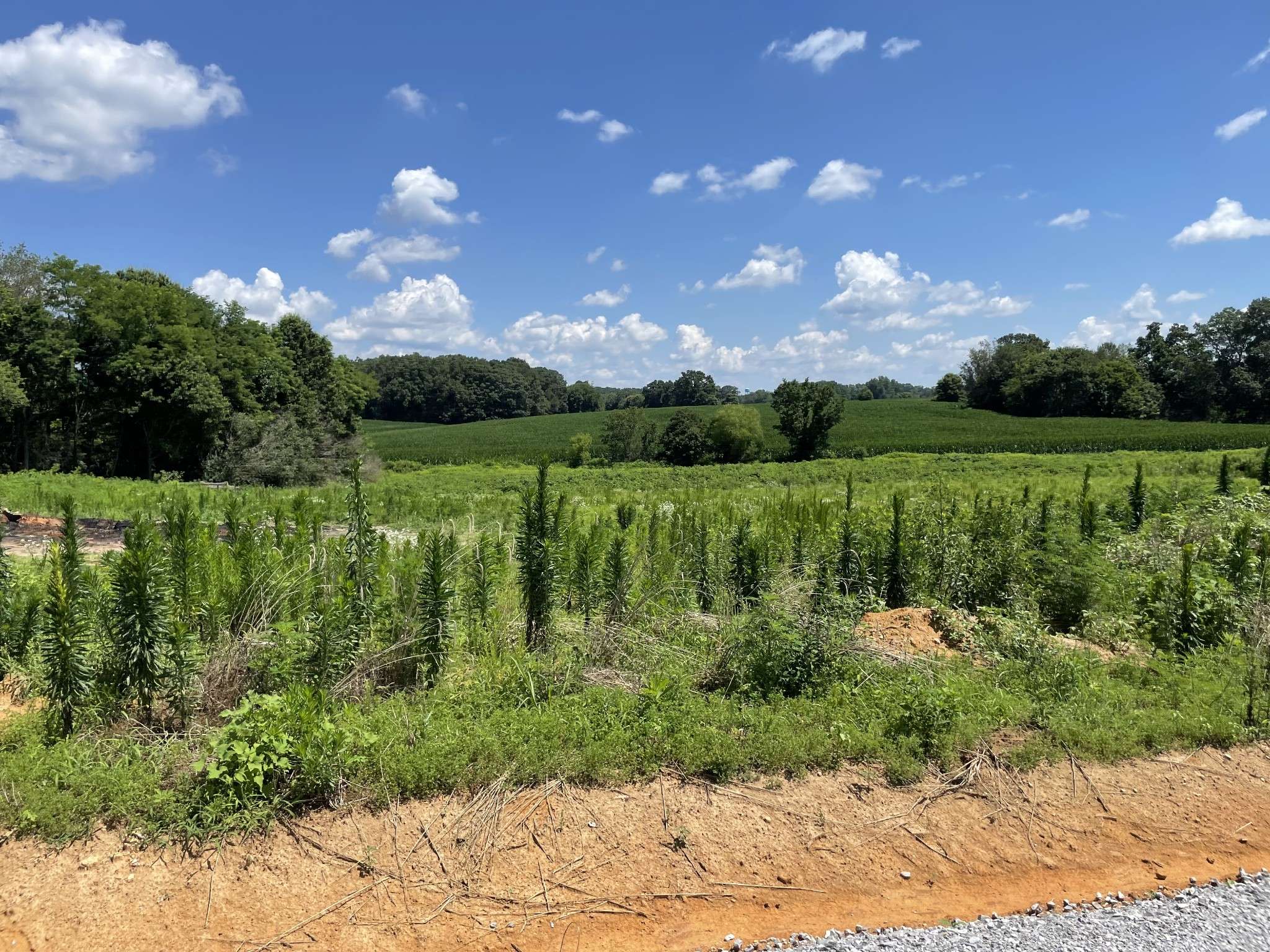 0 Hidden Hills Lane, Summertown, TN 38483