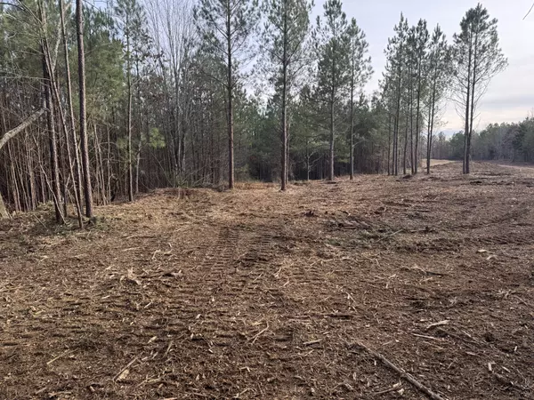 Duck River, TN 38454,0 Old Mail Road