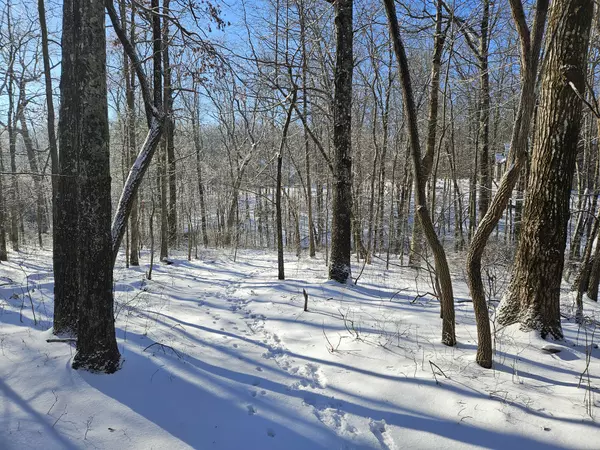 0 Lake Louisa Loop, Monteagle, TN 37356