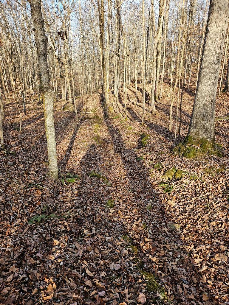 Cumberland City, TN 37050,801 Preston Baggett Rd