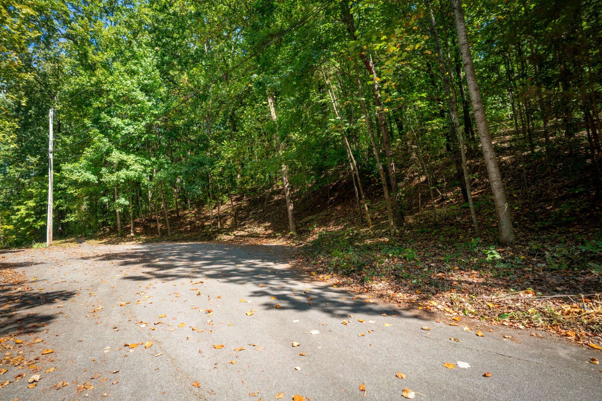 Chattanooga, TN 37421,1720 Spring View Lane