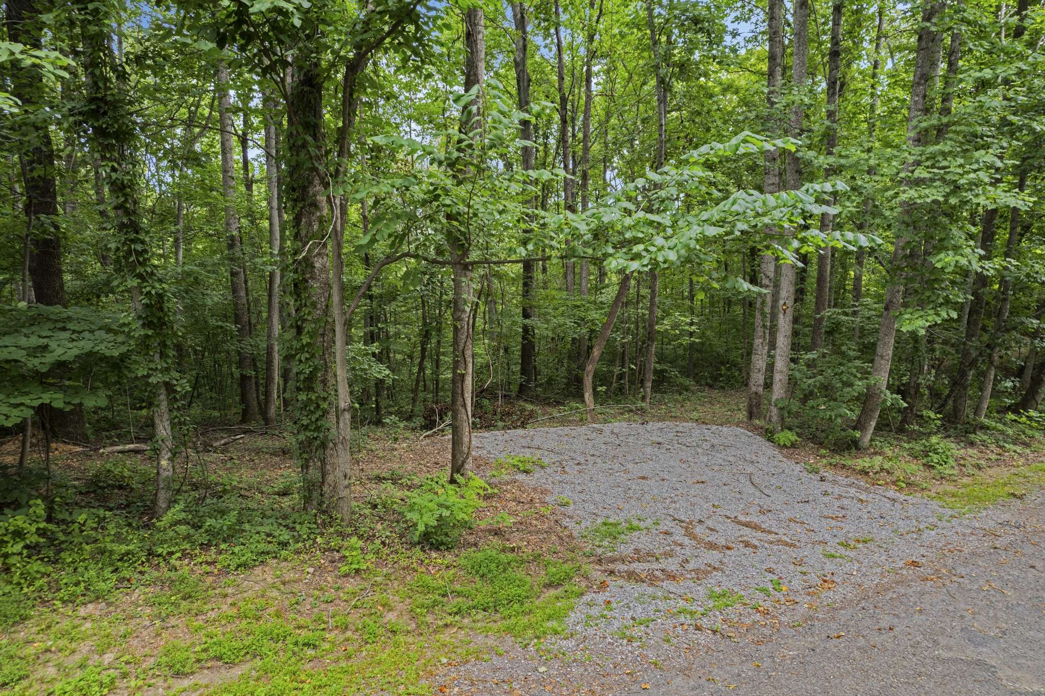 0 Deer Ridge Lane, Nashville, TN 37221