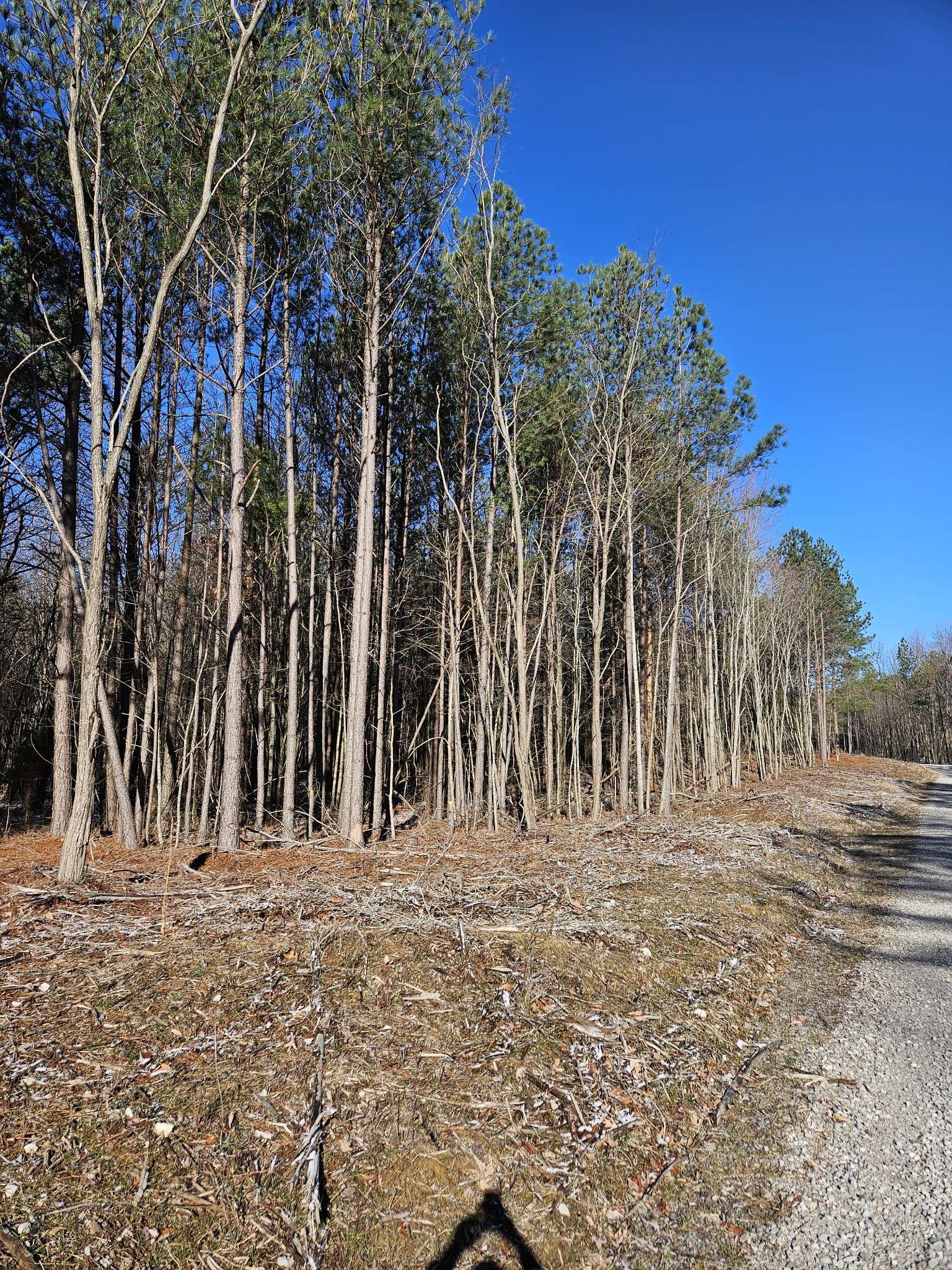 Spencer, TN 38585,0 Spokelay Road