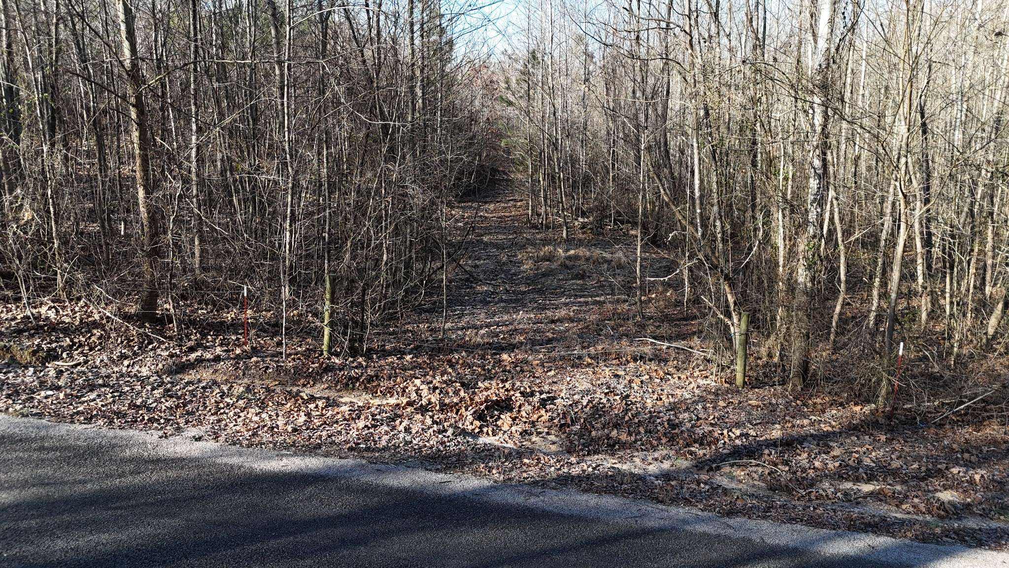 Finger, TN 38334,0 Vires Road