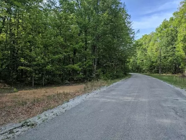 Altamont, TN 37301,0 Deer Run Rd