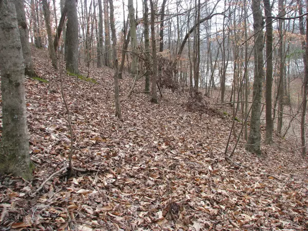 Waverly, TN 37185,0 Stonewall Jackson Drive