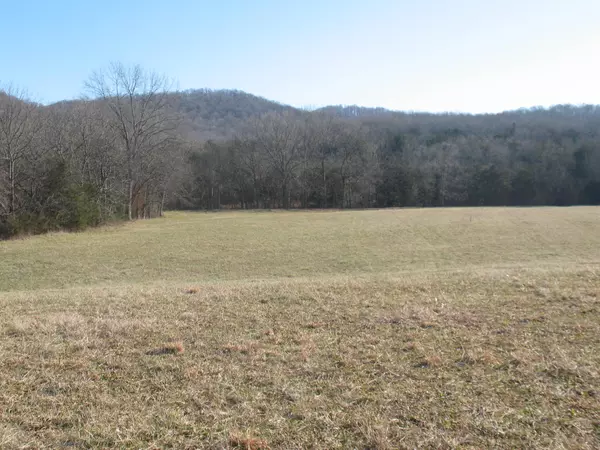 Woodbury, TN 37190,0 Burt Burgen Road