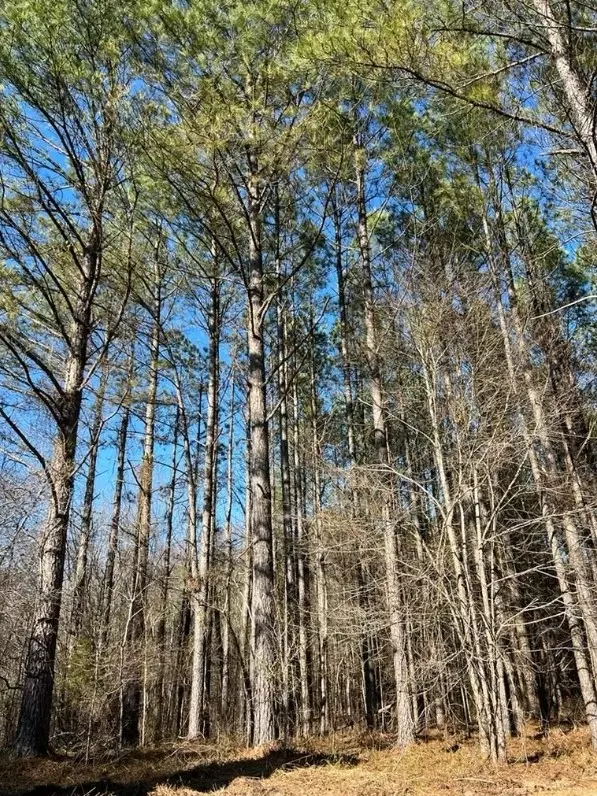 Bolivar, TN 38008,0 Forrest Hill Rd