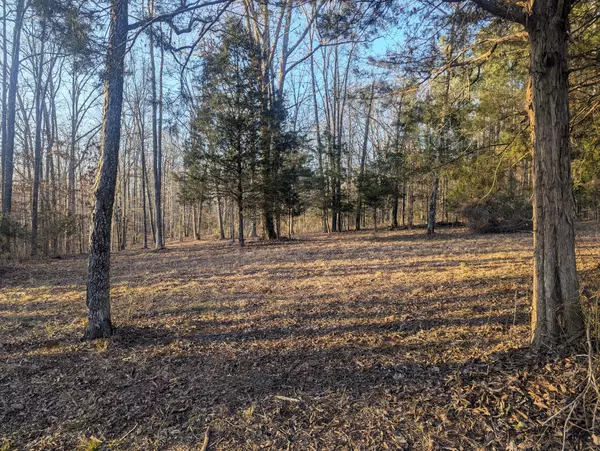 0 New Sheboss Rd, Duck River, TN 38454