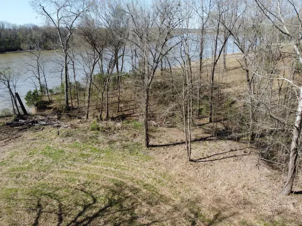 Bath Springs, TN 38311,6 Island View Dr