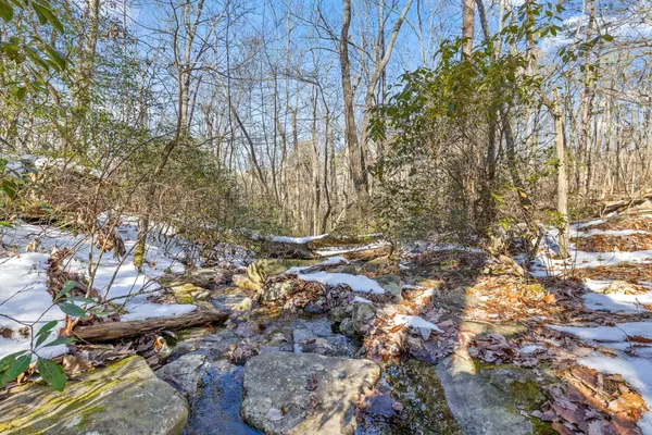 Menlo, GA 30731,0 Highland Forest Circle