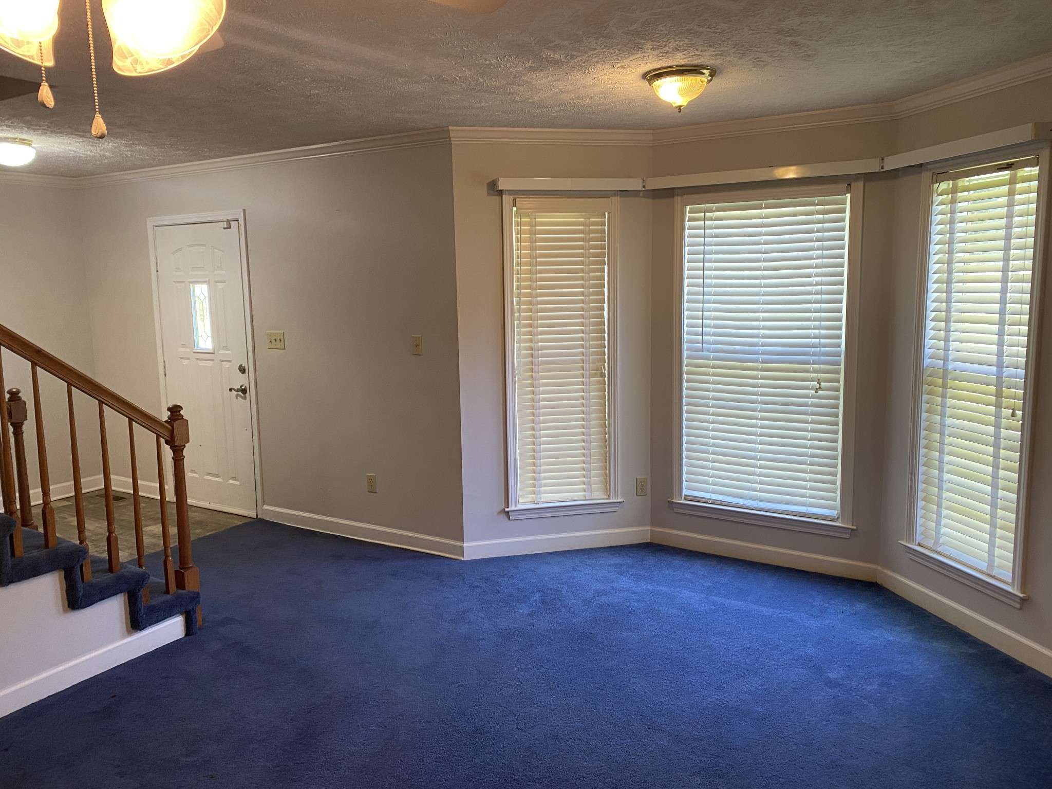 Jackson, TN 38305,56 Braddock Pl
