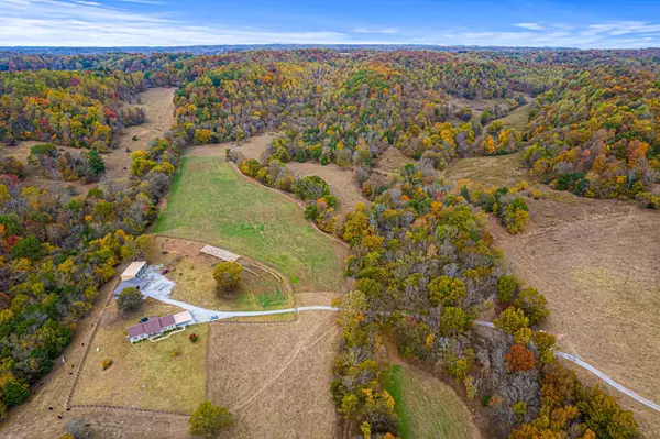 Lewisburg, TN 37091,0 Monte Murrey