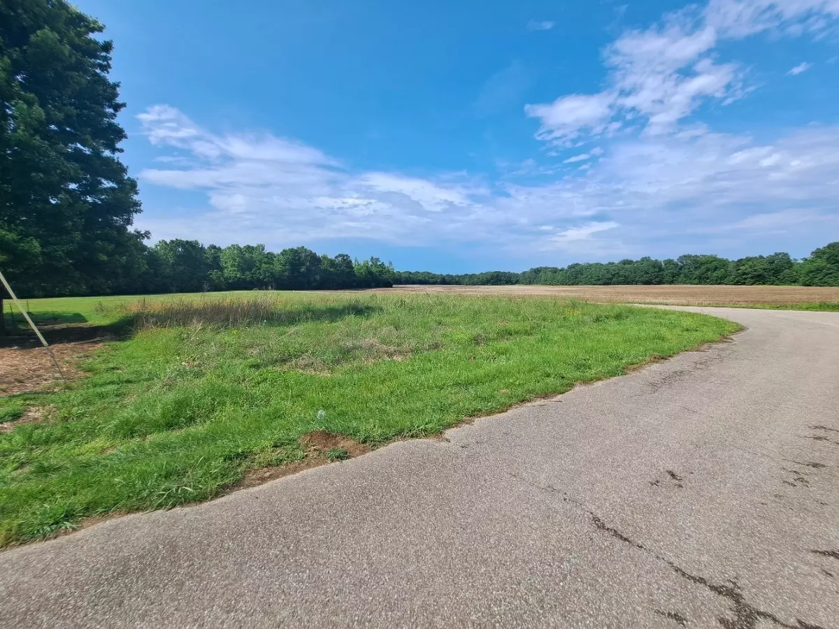 Decaturville, TN 38329,0 Boat Ramp Ln