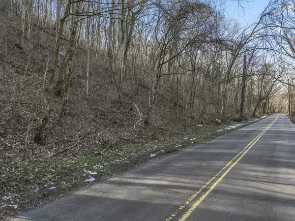 0 Dry Fork Rd,  Whites Creek,  TN 37189