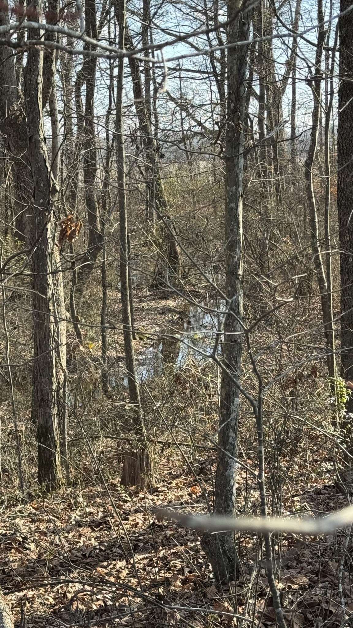 Manchester, TN 37355,0 Busy Corner Lane