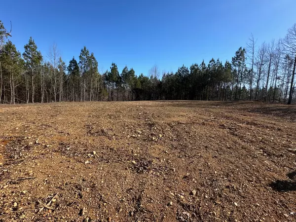 Erin, TN 37061,3085 Highway 231