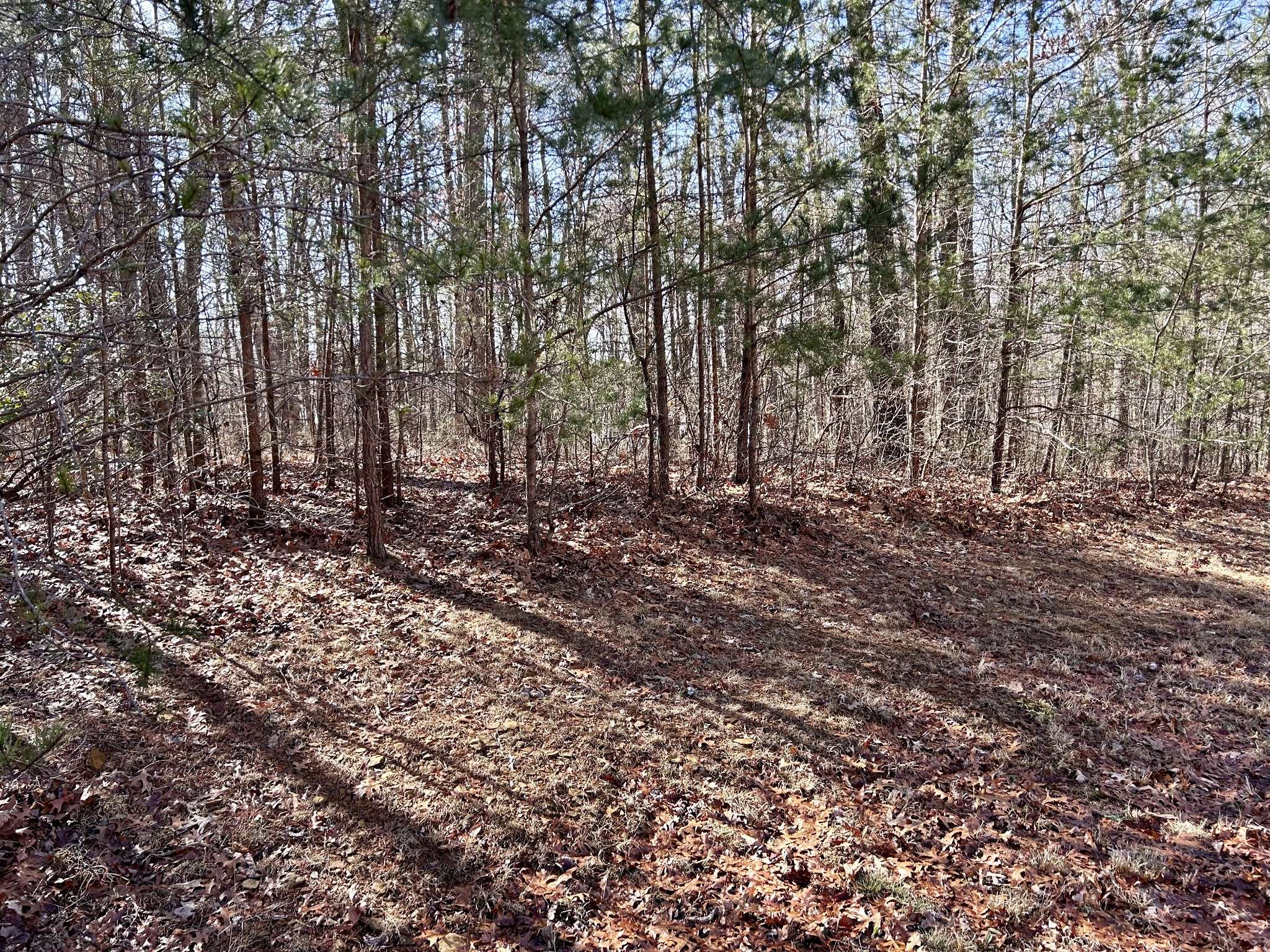 Tracy City, TN 37387,0 Genesis Ln