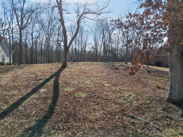 Goodlettsville, TN 37072,0 Willow Trail