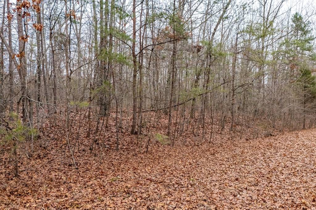 Crossville, TN 38558,17 Hardwick Pl