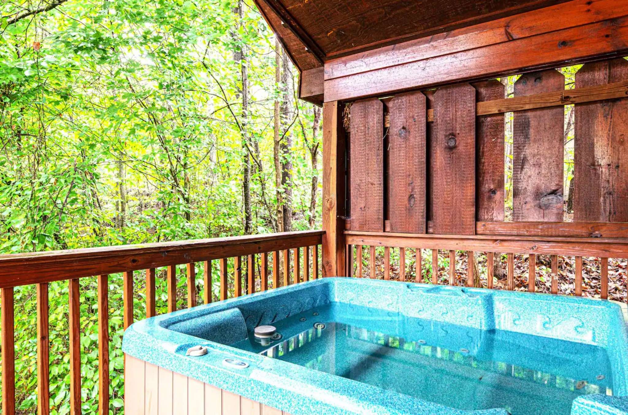 Sevierville, TN 37862,1508 Boo Boos Way