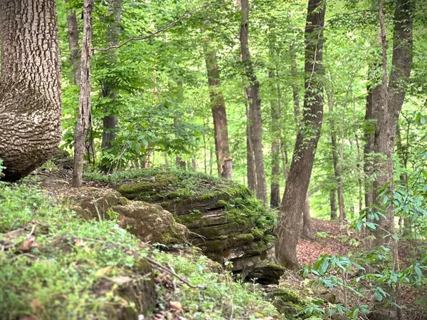 Walling, TN 38587,0 Three Island Rd