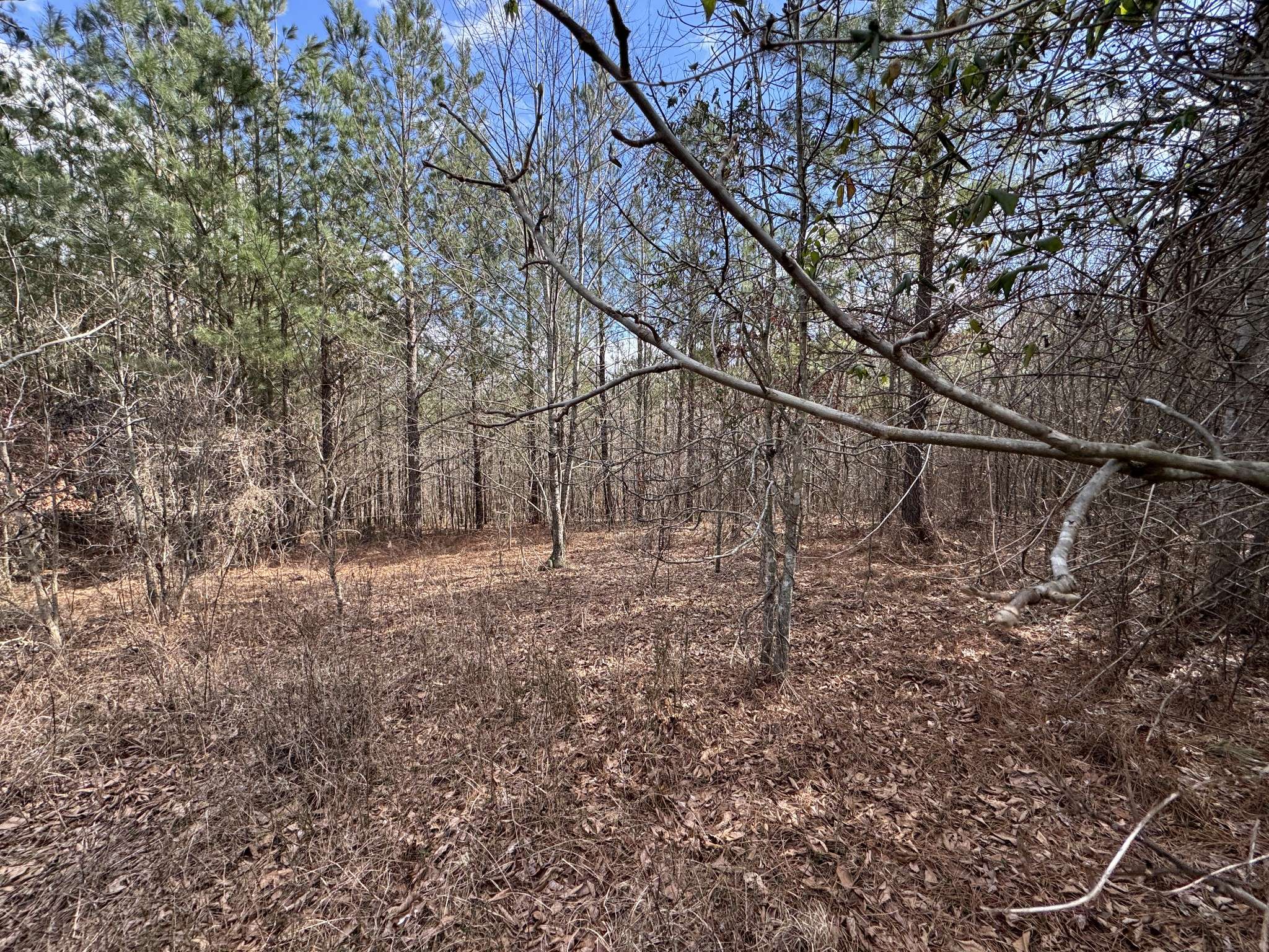 0 Old Mail Road, Duck River, TN 38454