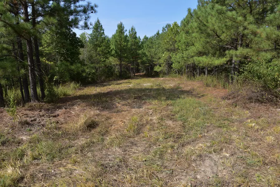 0 Fire Tower Rd, Erin, TN 37061