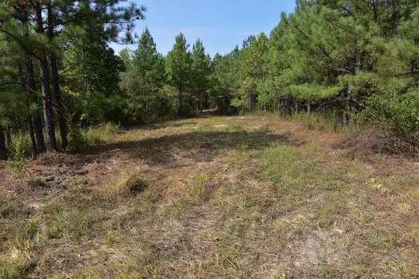 0 Fire Tower Rd, Erin, TN 37061