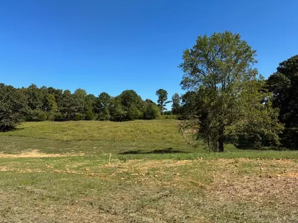 Fairview, TN 37062,0 Hunziker Lane