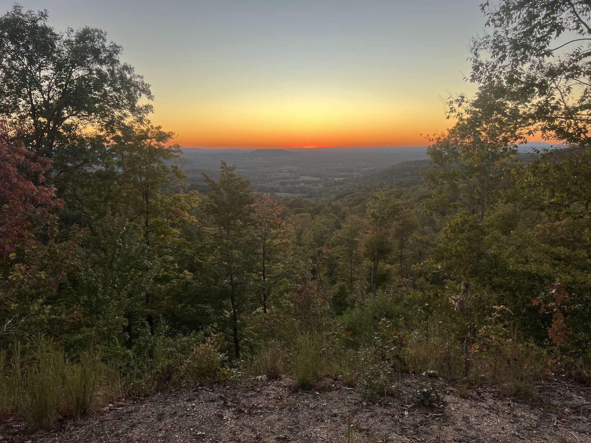 Doyle, TN 38559,3598 Biddle Ln