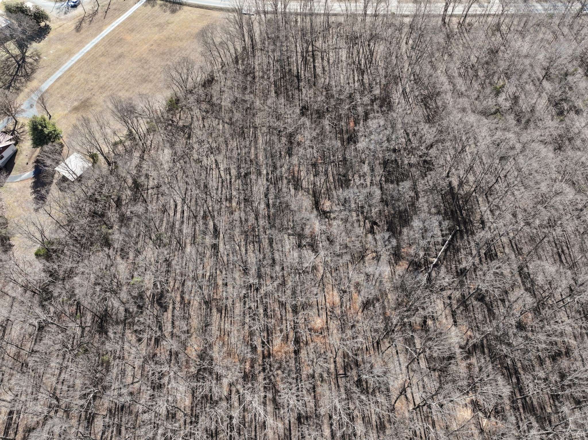 Tennessee Ridge, TN 37178,0 Highway 49W
