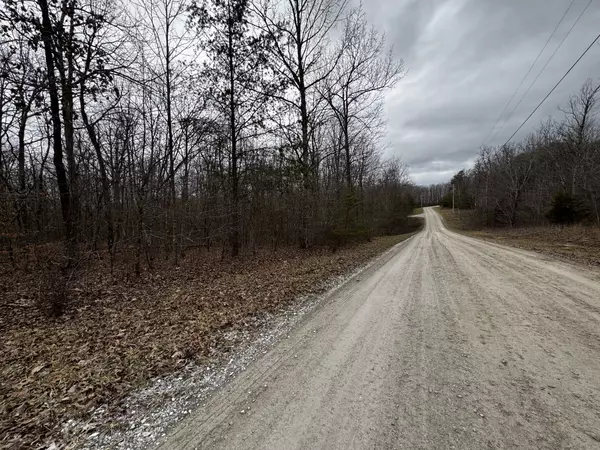 Altamont, TN 37301,0 Hunters Ridge Trl