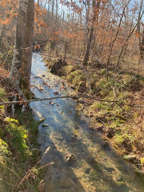 155 Burns Hollow Rd, Waynesboro, TN 38485
