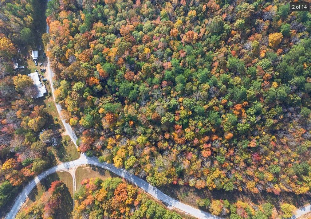 Parsons, TN 38363,0 Beech Ridge Rd