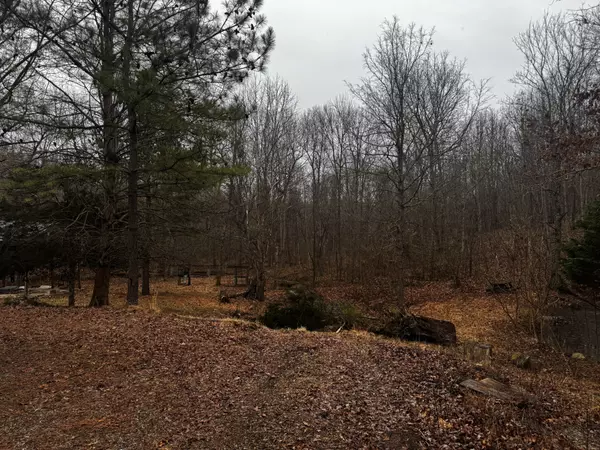 Hopkinsville, KY 42240,2915 Dogwood Kelly Rd