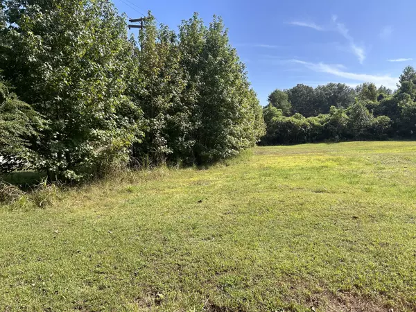 Paris, TN 38242,0 Blythe West St