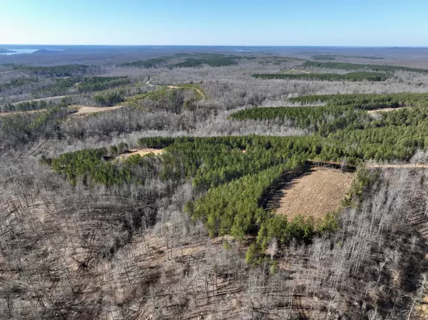 Stewart, TN 37175,0 White Oak Rd